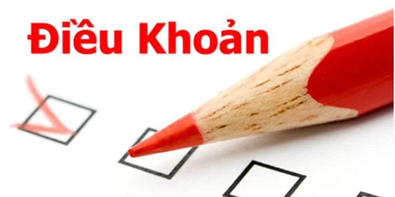 Điều khoản và điều kiện về trách nhiệm của người dùng